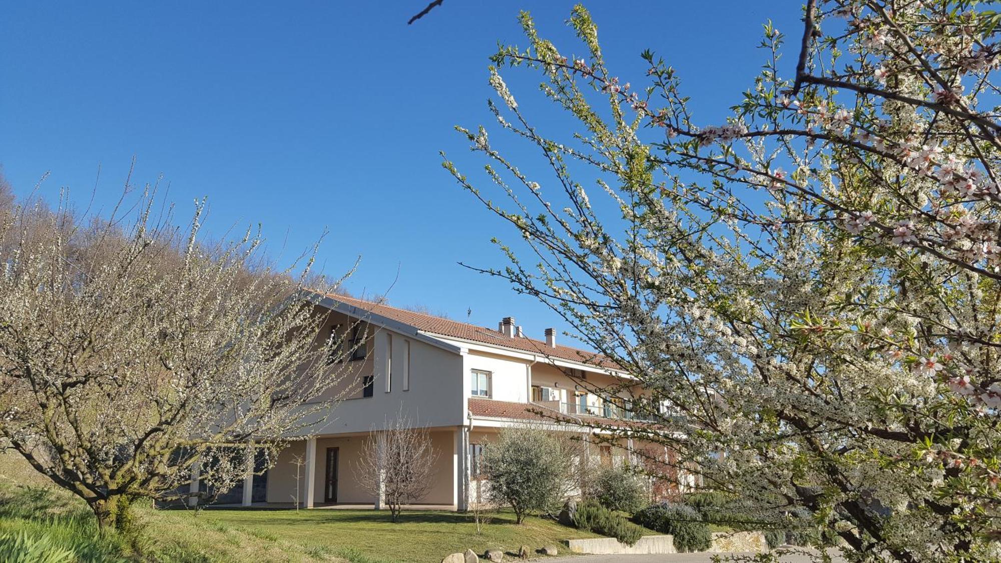 Le Sette Vie Holiday Homes Monforte dʼAlba Extérieur photo
