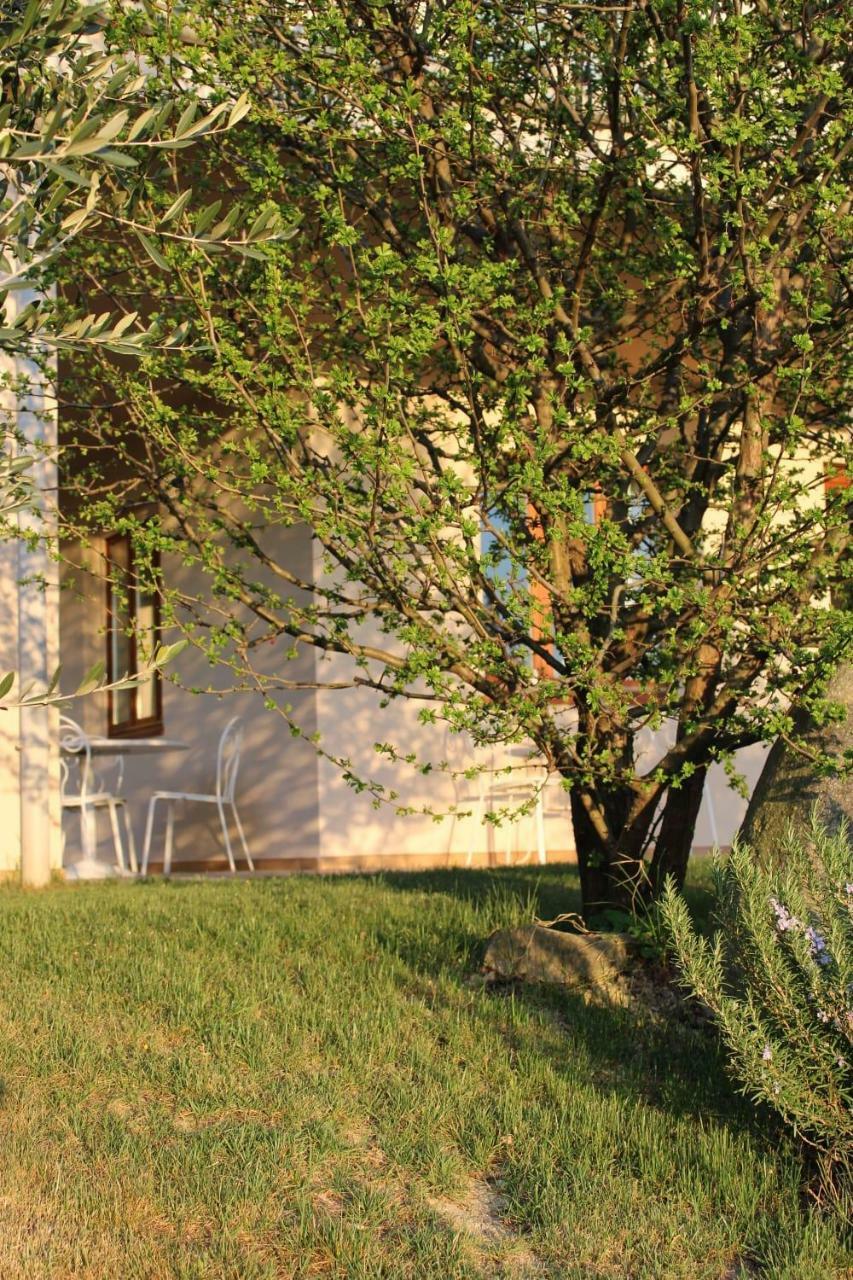 Le Sette Vie Holiday Homes Monforte dʼAlba Extérieur photo